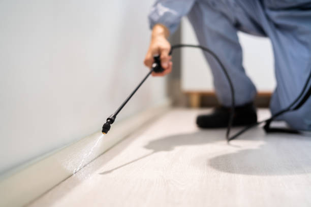 Licensed Cockroach Control service in Eufaula, AL - Nex Pest Control