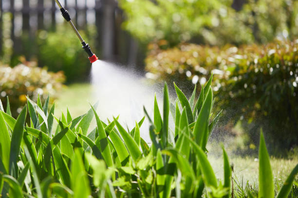 24/7 Emergency Cockroach Control experts in Eufaula, AL