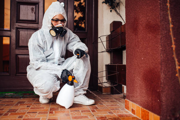 Reliable Cockroach Control contractor in Eufaula, AL by Nex Pest Control