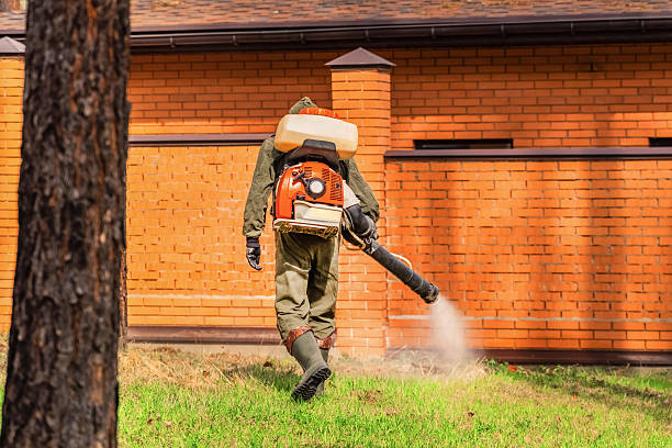 Top rated local Cockroach Control specialists in Eufaula, AL
